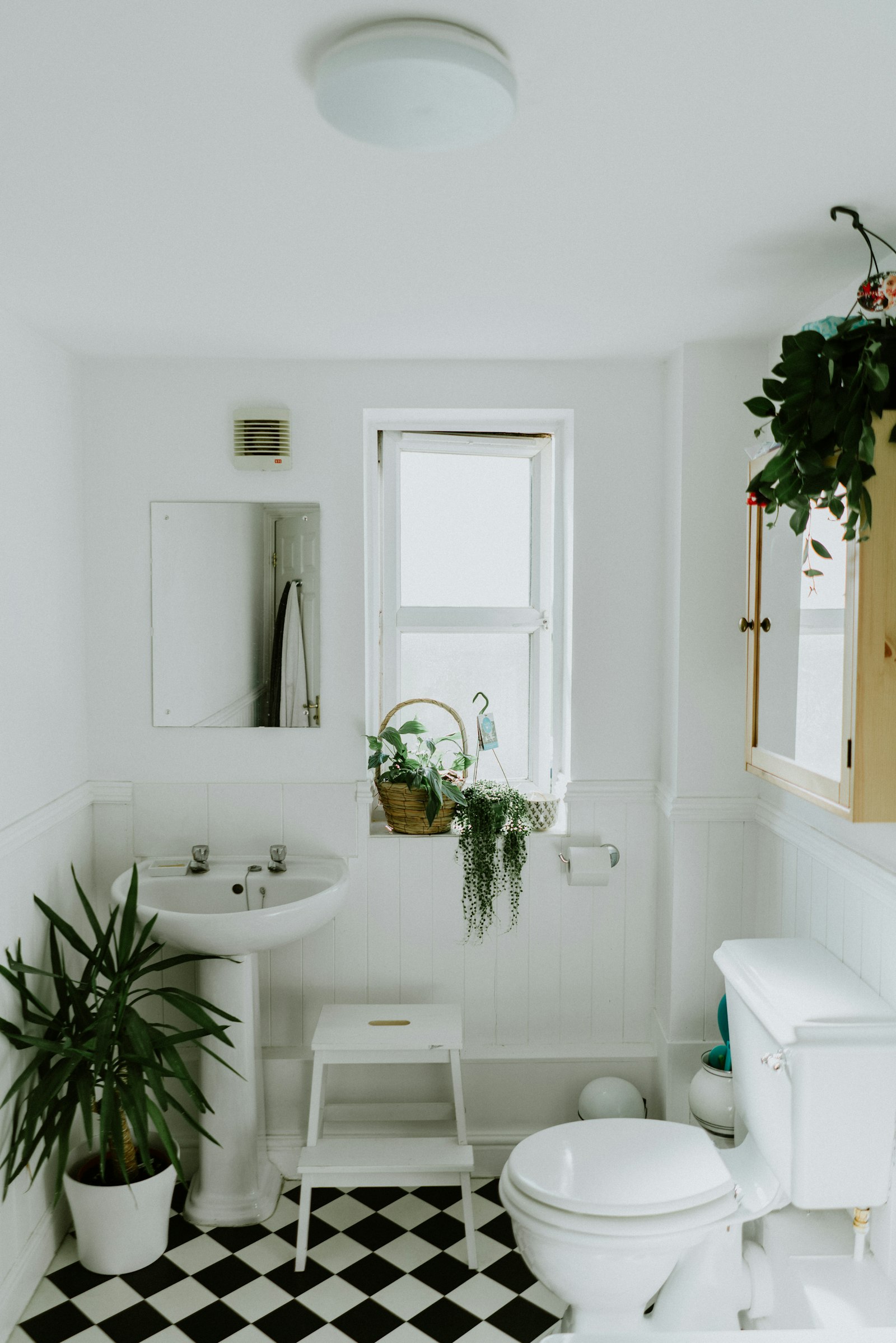 Luxury bathroom renovation